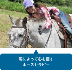 馬によって心を癒すホースセラピー
