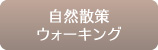 自然散策ウォーキング