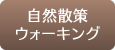 自然散策ウォーキング