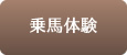 乗馬体験